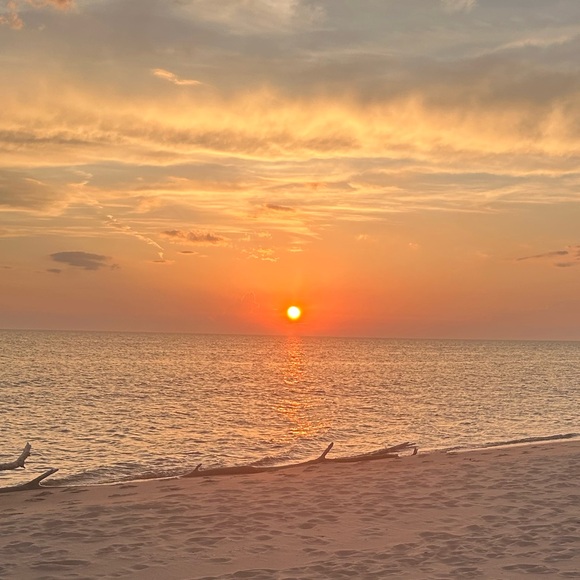 Meet your Posher, Traci - Picture 1 of 1